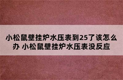 小松鼠壁挂炉水压表到25了该怎么办 小松鼠壁挂炉水压表没反应